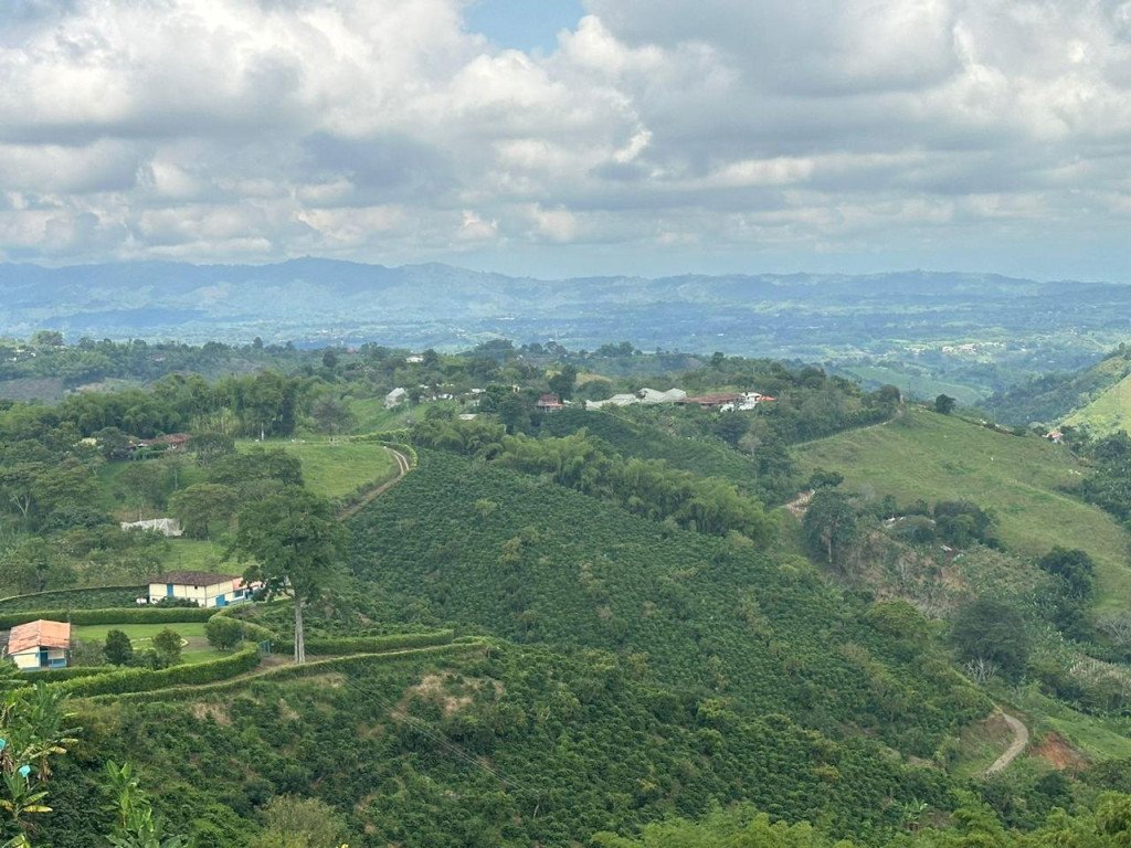 Finca En Venta En La India · Filandia