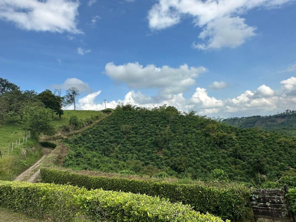 Finca En Venta En La India · Filandia