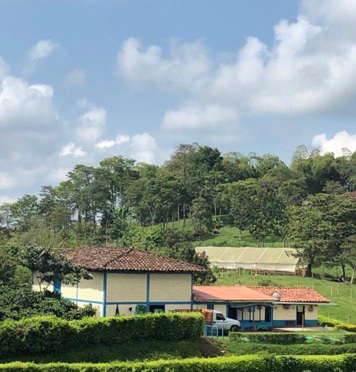 Finca En Venta En La India · Filandia