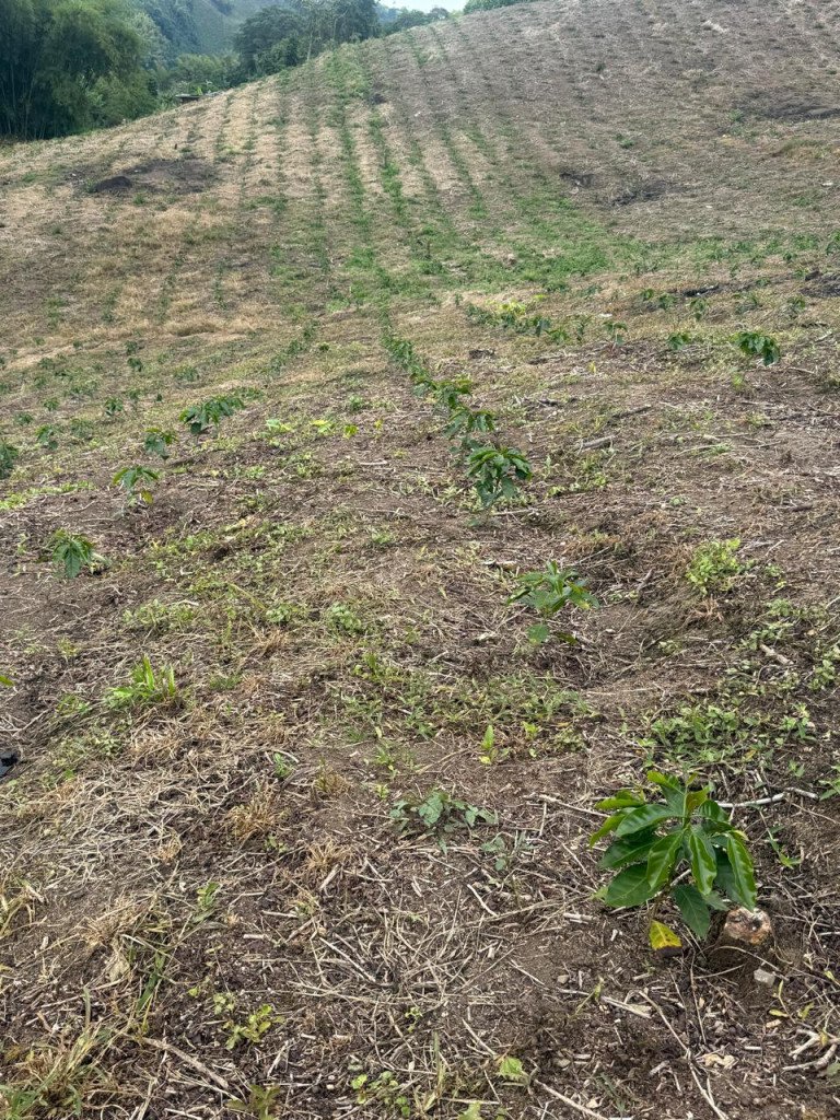 Finca En Venta En La India · Filandia