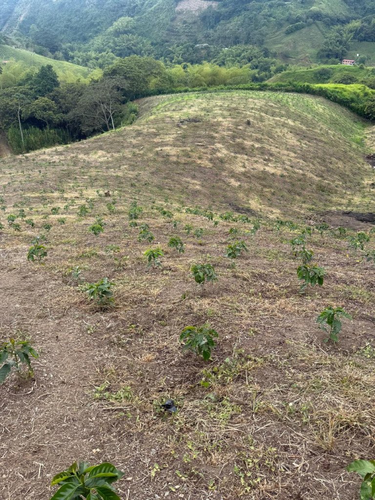 Finca En Venta En La India · Filandia