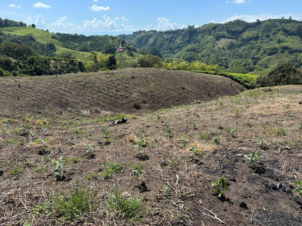 Finca En Venta En La India · Filandia